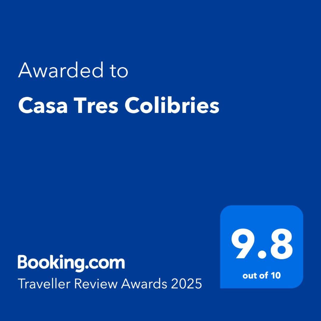 Bed and Breakfast Casa Tres Colibries Mérida Zewnętrze zdjęcie